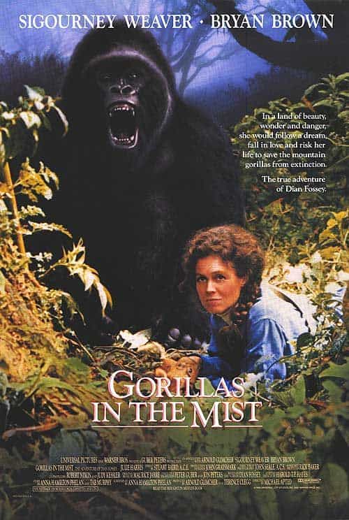 Gorillas In the Mist