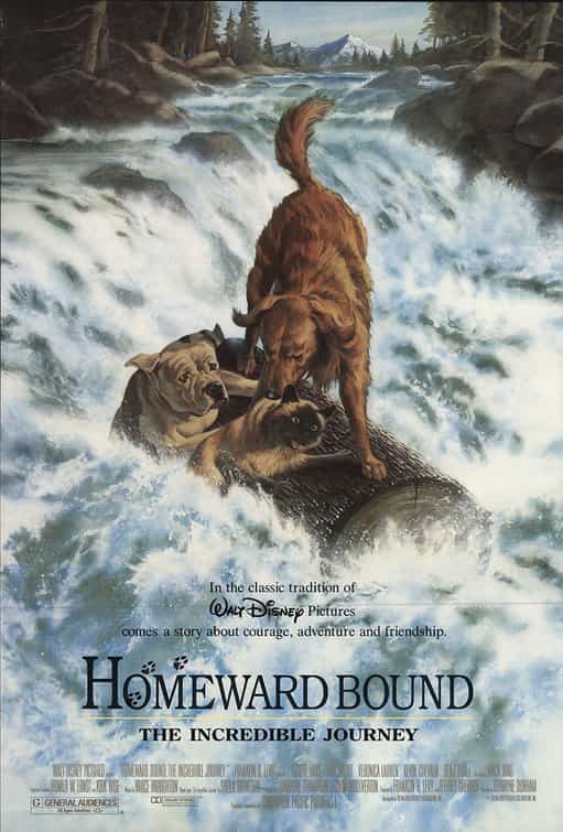 Homeward Bound: The Incredible Journey