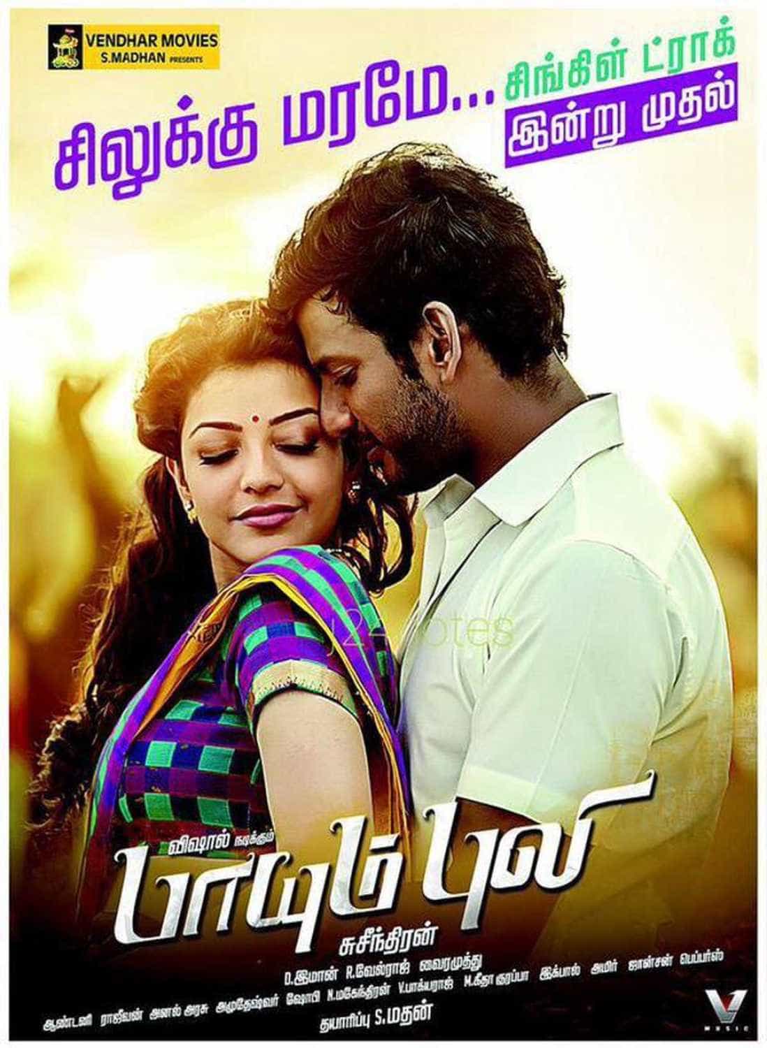 Paayum Pali