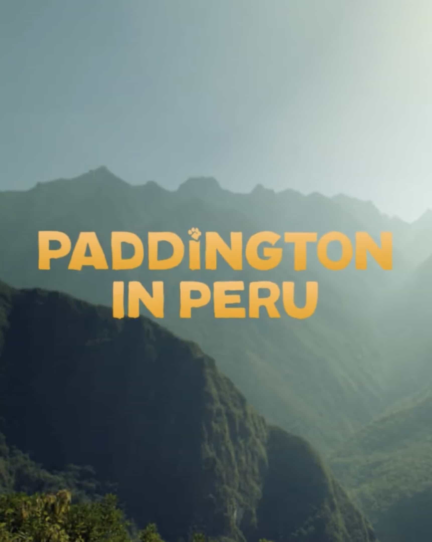 Paddington In Peru
